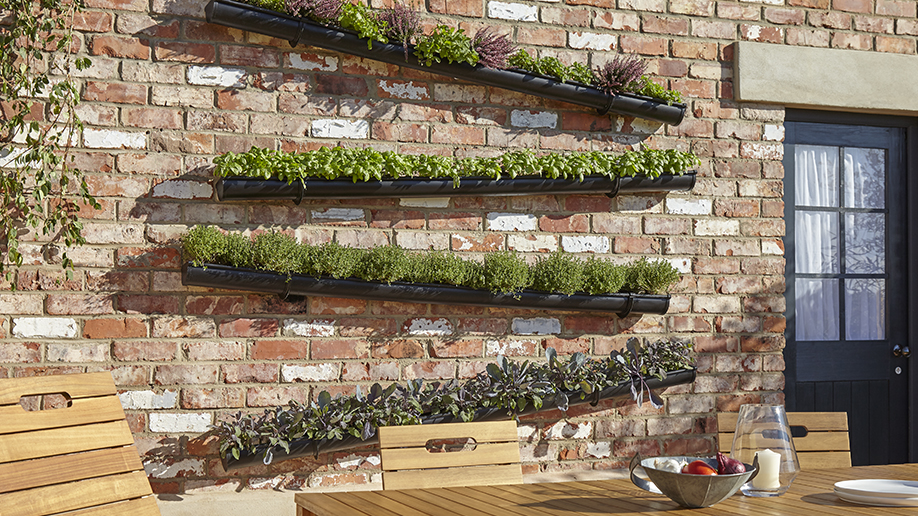 Crea tu propio jardín vertical con canalones