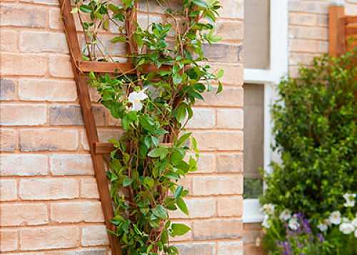 jardin vertical casero 1 jardin vertical casero