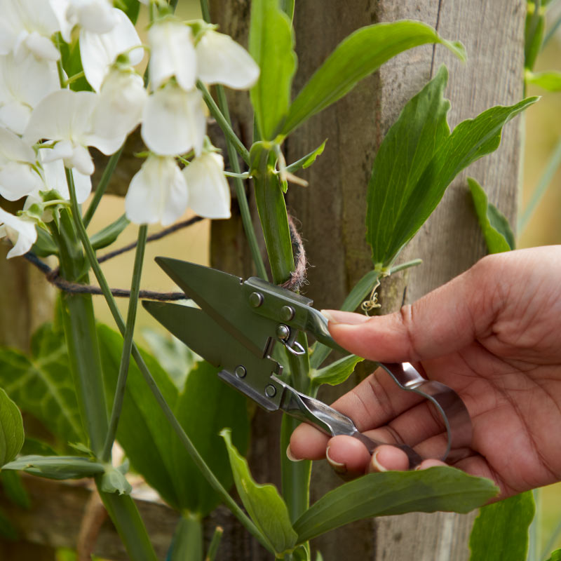 herramientas para jardín