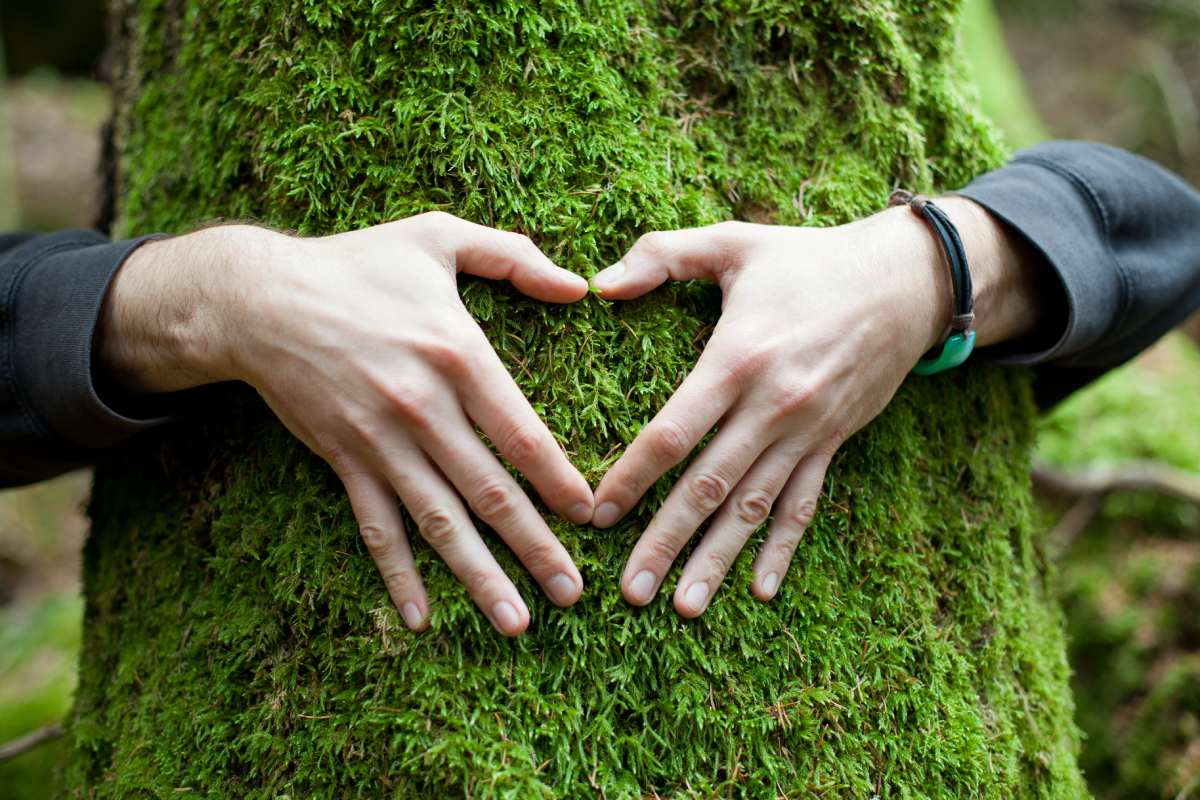 que debemos hacer para cuidar el medio ambiente