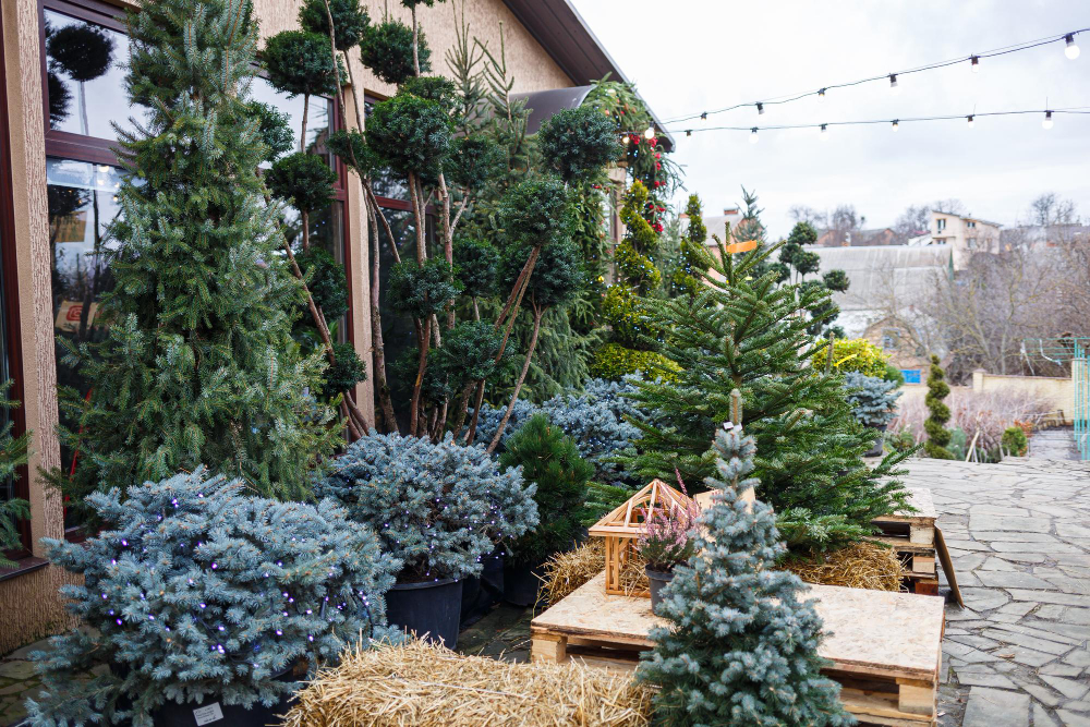 decoracion de navidad jardin exterior abrir-cocina-salon