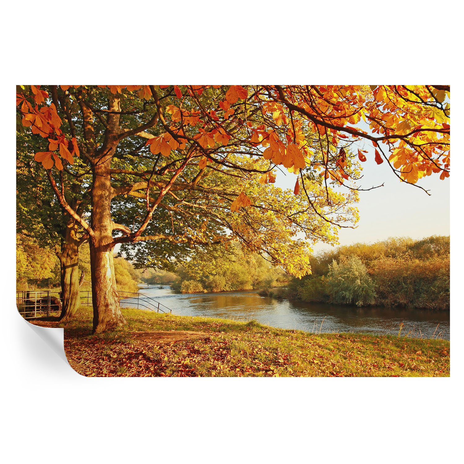Murales autoadhesivos otoño costero 104x152 tulup