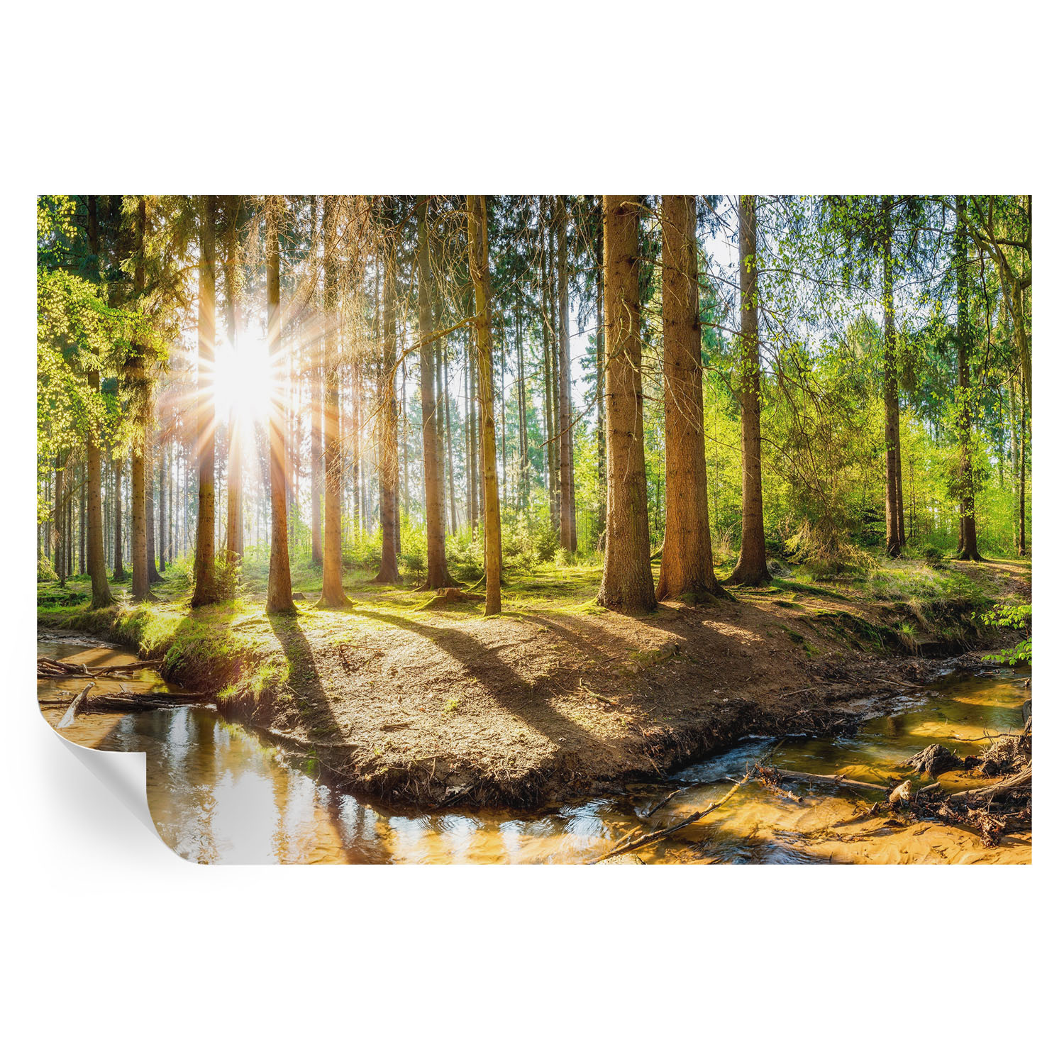 Murales autoadhesivos idilio forestal 104x152 tulup