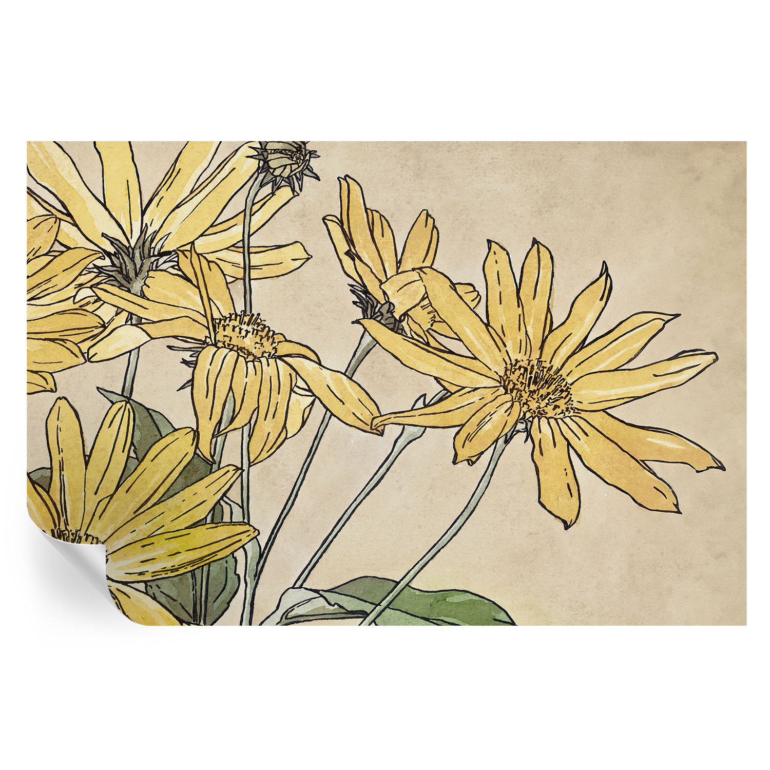 Murales autoadhesivos flores de acuarela 104x152 tulup