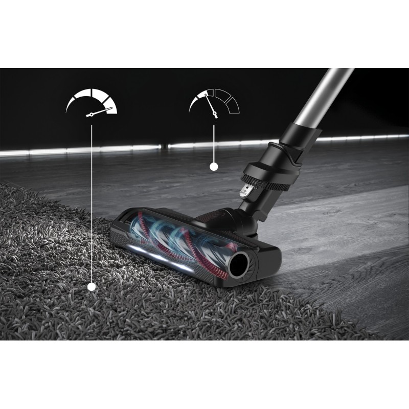 Escoba rowenta rh2077 xforce flex 9.60 diseño animal