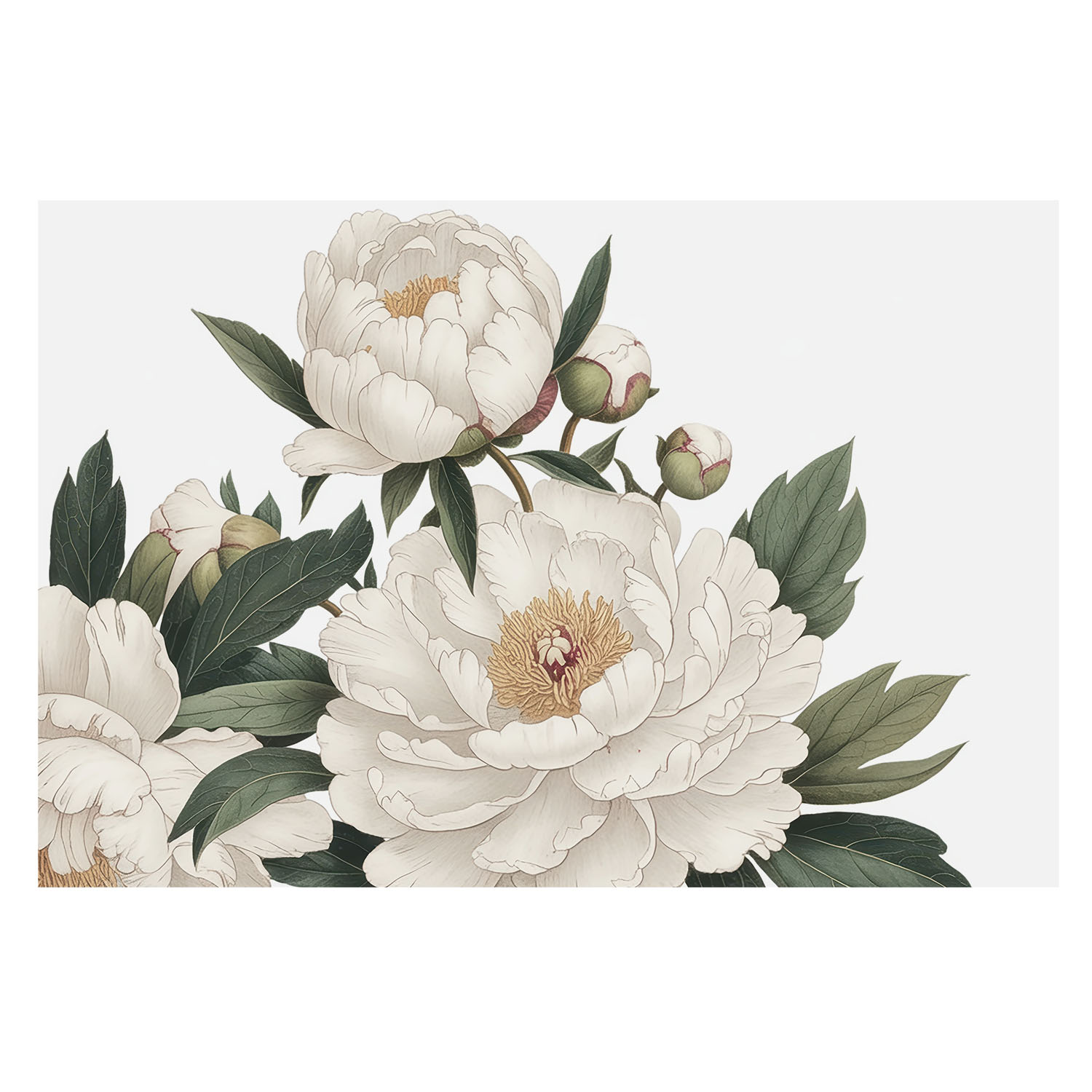 Papel pintado para paredes 312x219 peonías blancas tulup