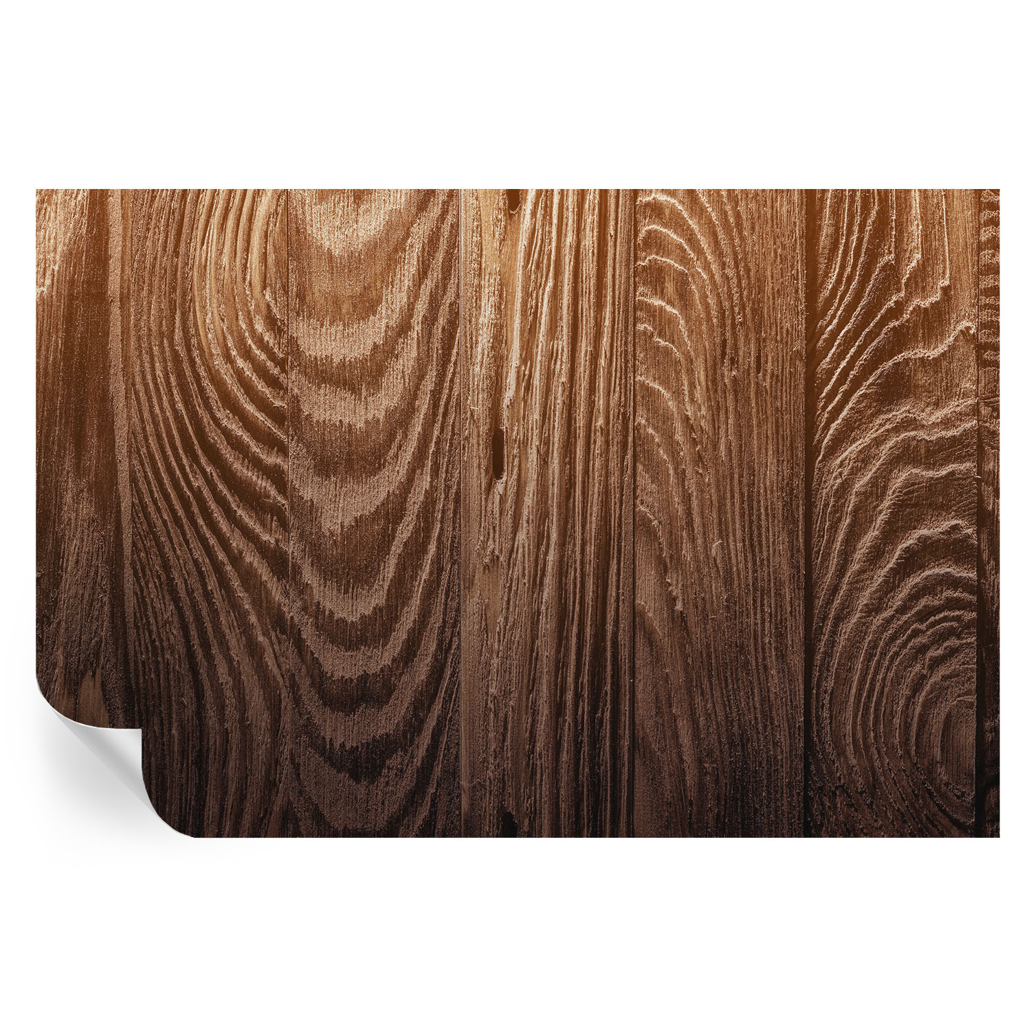 Murales autoadhesivos anillos de madera 104x152 tulup