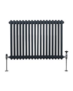 Radiador tradicional horizontal de 2 columnas - 600 x 832 mm - gris