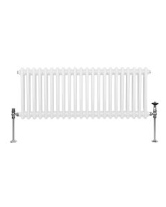 Radiador tradicional horizontal de 2 columnas - 300 x 1012mm - blanco