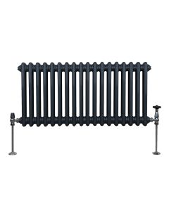 Radiador tradicional horizontal de 2 columnas - 300 x 832 mm - gris