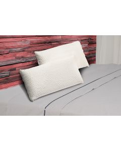 Pack 2 almohadas viscoelastica aloe vera 60x40
