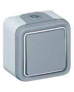 Doble interruptor conmutador estanco plexo