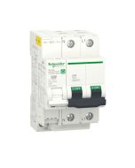 Protector sobretensión permanente y transitoria 40A Schneider