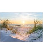 Papel pintado pared 3d playa mar 350x250 fotomurales tnt
