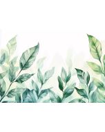 Papel pintado pared verde hojas 350x250 fotomurales tnt