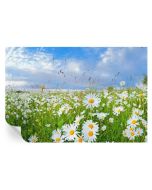 Papel pintado autoadhesivo pradera de verano 70x104 tulup