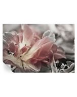 Papel pintado autoadhesivo flor pastel 70x104 tulup