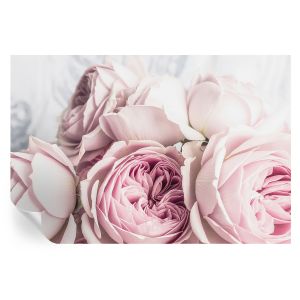 Murales autoadhesivos rosas rosadas 104x152 tulup