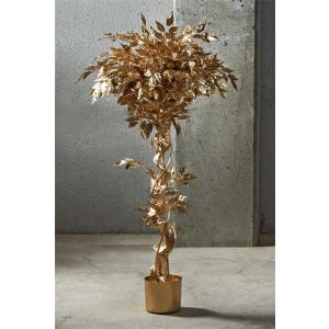 Planta ficus benjamin oro 135 cms. 78x135 cms