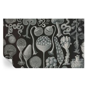 Papel pintado autoadhesivo plantas mágicas 416x254 tulup