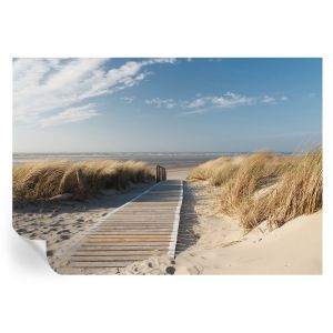 Papel pintado autoadhesivo sendero marítimo 208x146 tulup