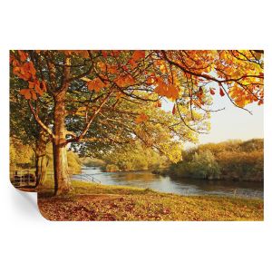 Murales autoadhesivos otoño costero 104x152 tulup