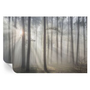 Papel pintado autoadhesivo bosque etéreo 104x152 tulup