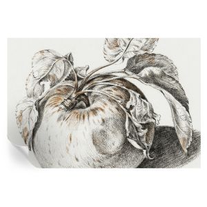 Murales autoadhesivos hojas de manzana 104x152 tulup