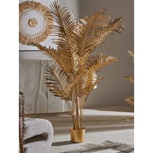 Planta kentia oro 160 cms. 125x160 cms