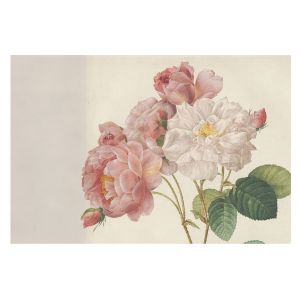 Papel pintado tnt 312x219 rosas románticas tulup