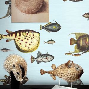 Papel pintado peces tropicales