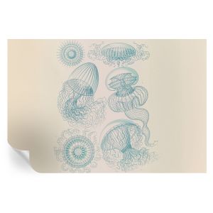 Murales autoadhesivos medusas marinas 104x152 tulup