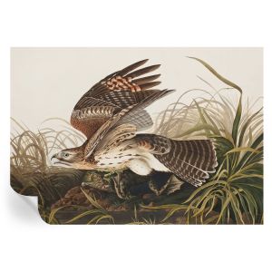 Papel pintado autoadhesivo belleza alada 208x146 tulup