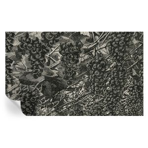 Papel pintado autoadhesivo estampado de uva 416x254 tulup