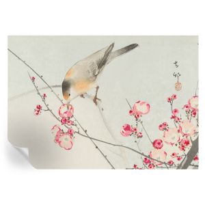 Murales autoadhesivos pájaro flor 208x146 tulup