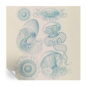 Murales autoadhesivos medusas marinas 250x250 tulup