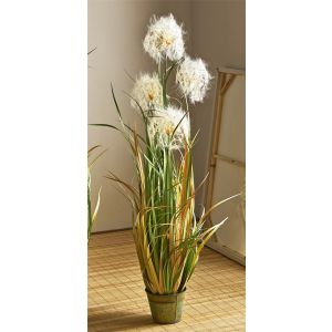Planta diente de leon 120 cms. 120 cms
