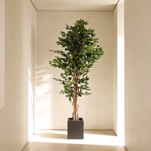 Planta artificial ficus verde 180 cm marrón y verde - naturing monde