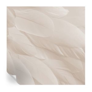 Murales autoadhesivos plumas etéreas 250x250 tulup