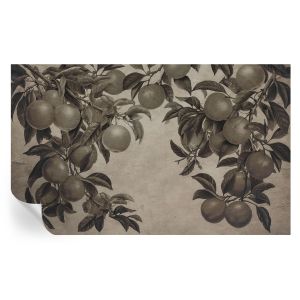 Murales autoadhesivos patrón de frutas 416x254 tulup
