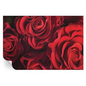Murales autoadhesivos rosas rojas 104x152 tulup