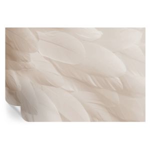 Murales autoadhesivos plumas etéreas 104x152 tulup
