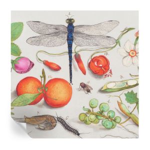 Papel pintado para paredes ilustración de la naturaleza 250x250 tulup