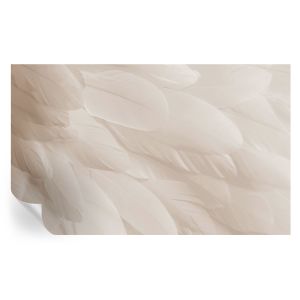 Murales autoadhesivos plumas etéreas 416x254 tulup