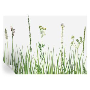 Murales autoadhesivos flora sutil 208x146 tulup