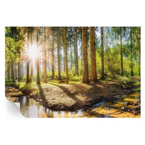 Murales autoadhesivos idilio forestal 104x152 tulup