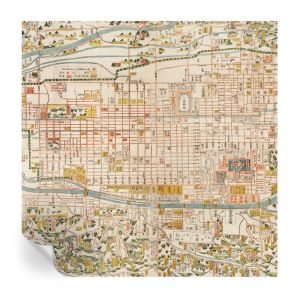 Papel pintado autoadhesivo mapa antiguo 250x250 tulup