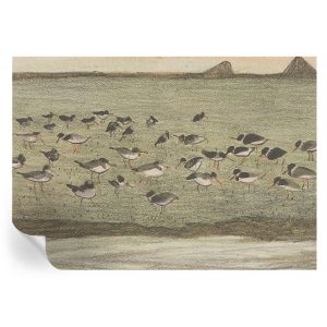 Murales autoadhesivos paz de pájaro 208x146 tulup