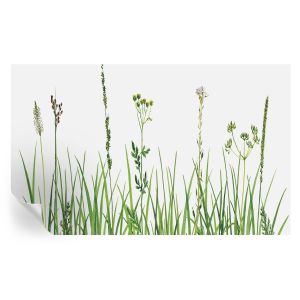 Murales autoadhesivos flora sutil 416x254 tulup