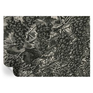 Papel pintado autoadhesivo estampado de uva 208x146 tulup
